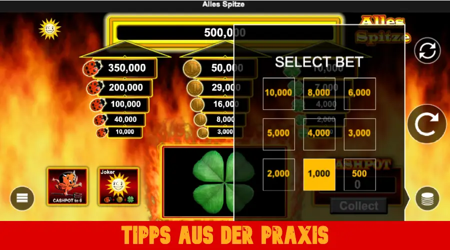 Tipps aus der Praxis